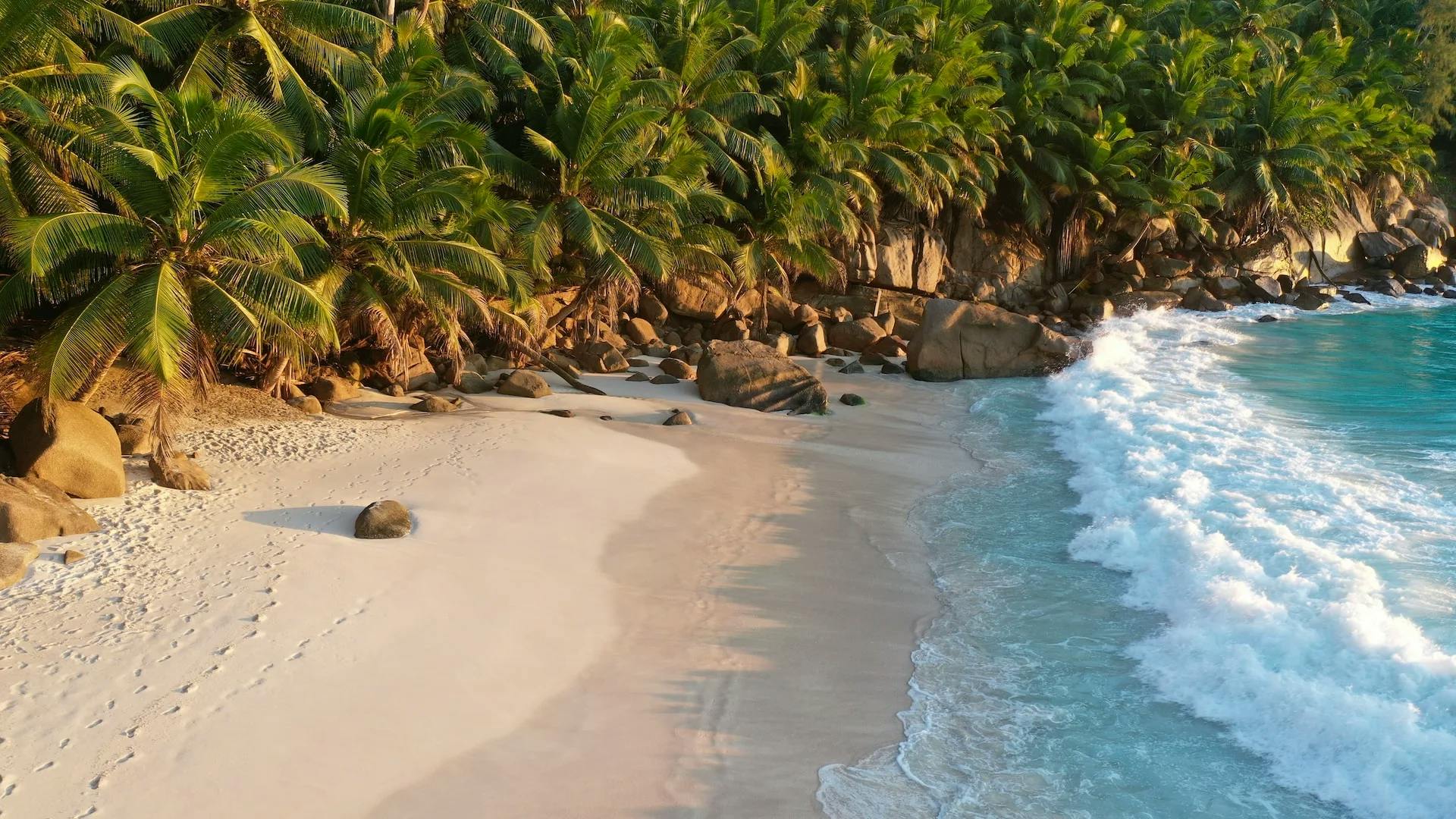 seychelle fehér homokos óceánpart pálmafákkal trópusi luxus