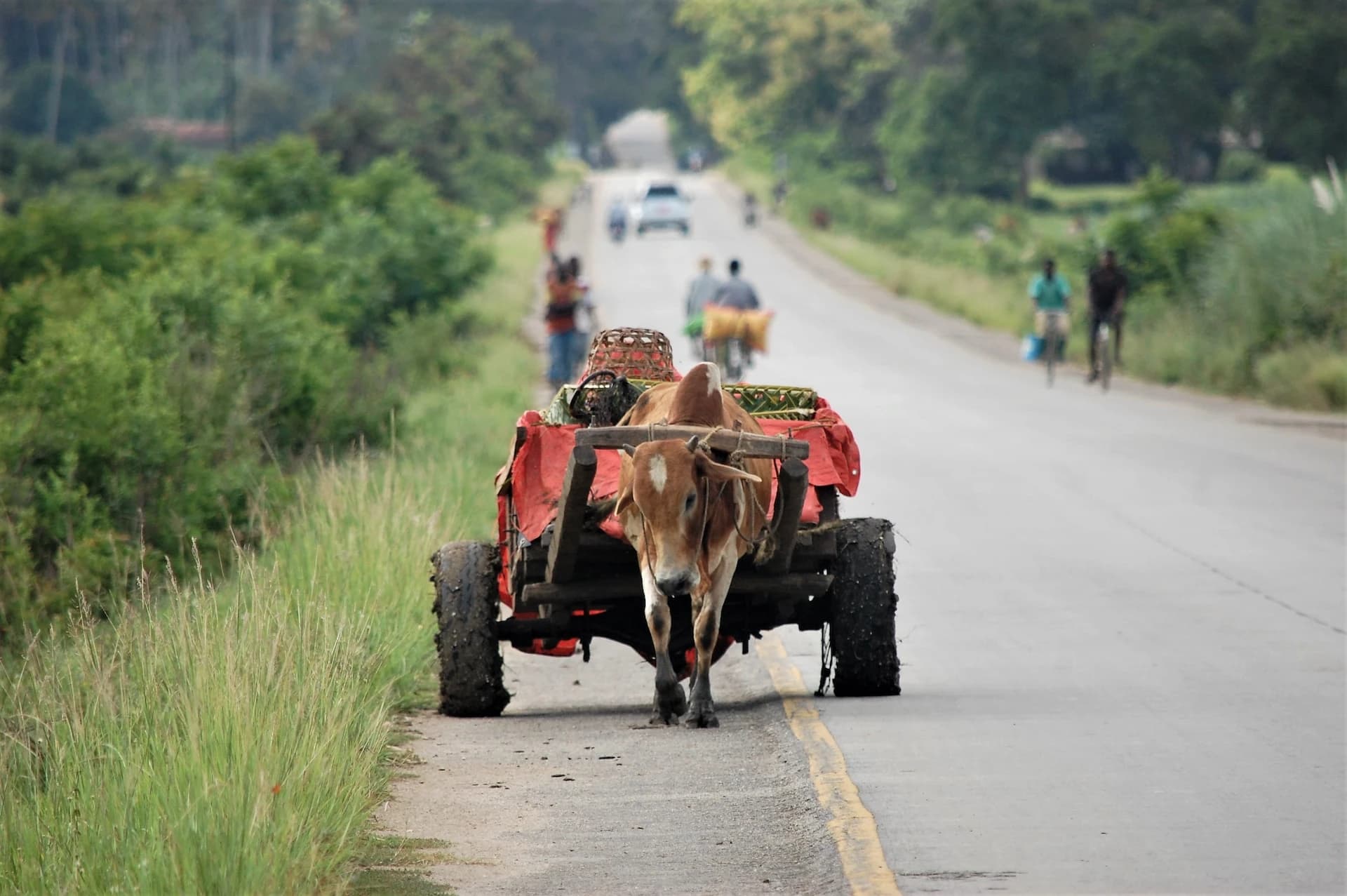 közlekedési nehézségek zanzibáron út autóbérlés taxi